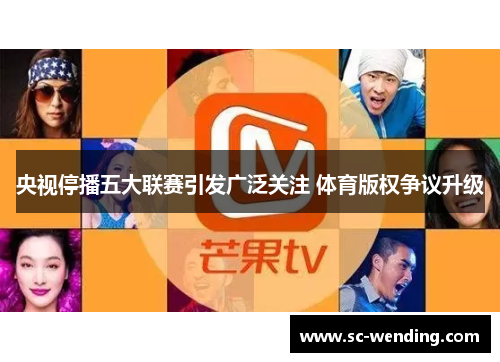 央视停播五大联赛引发广泛关注 体育版权争议升级 央视停播五大联赛引发广泛关注 体育版权争议升级